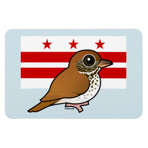 Magnet Flexible Birdorable de Washington, C.C : Grive en bois