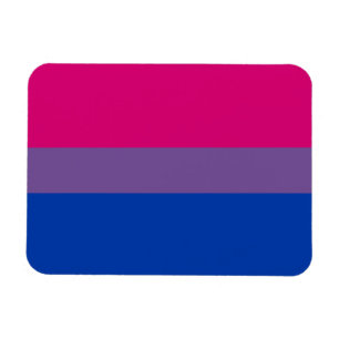 Magnet Flexible Bisexual Pride Flag