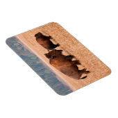 Magnet Flexible Bison Américain (Bison Bison) Vache Et Veau (Côté Droit)