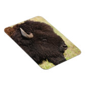 Magnet Flexible Bison américain, Dakota du Sud (Côté Droit)
