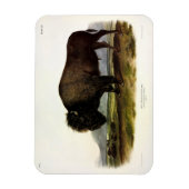 Magnet Flexible Bison américain, ou bison (bison) - Audubon (Vertical)