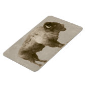 Magnet Flexible Bison d'Amérique (Côté Gauche)
