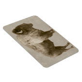 Magnet Flexible Bison d'Amérique (Côté Droit)