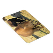 Magnet Flexible Bison dans le Colorado (Côté Droit)