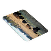 Magnet Flexible Bison dans le Colorado (Côté Droit)