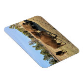 Magnet Flexible Bison dans le Colorado (Côté Droit)