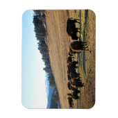 Magnet Flexible Bison dans le Colorado (Vertical)