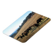 Magnet Flexible Bison dans le Colorado (Côté Gauche)