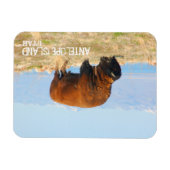 Magnet Flexible Bison d'Antelope Island, Utah (Horizontal)