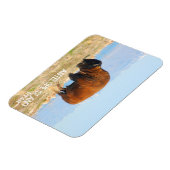 Magnet Flexible Bison d'Antelope Island, Utah (Côté Gauche)