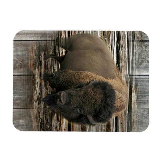 Magnet Flexible Bison de bois (Horizontal)