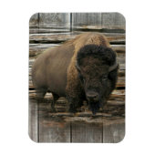 Magnet Flexible Bison de bois (Vertical)