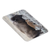 Magnet Flexible Bison de vache et de veau, Yellowstone (Côté Droit)