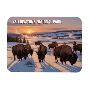 Magnet Flexible Bison du parc national de Yellowstone