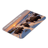 Magnet Flexible Bison du parc national de Yellowstone (Côté Gauche)
