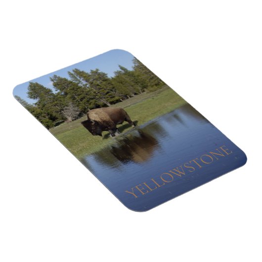 Magnet Flexible Bison du parc national de Yellowstone (Côté Droit)