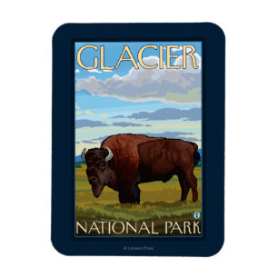 Magnet Flexible Bison Scene - Parc national des Glaciers, MT