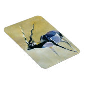 Magnet Flexible Black Buck Velavadar 1997 (Côté Droit)
