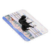 Magnet Flexible Black Gypsy Vanner Irlandais Cob Brouillon Cheval  (Côté Droit)