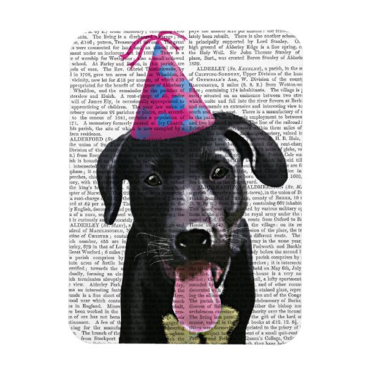 Magnet Flexible Black Labrador Avec Casquette de fête (Vertical)