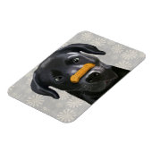 Magnet Flexible Black Labrador avec os sur le noeud 2 (Côté Gauche)