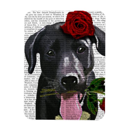 Magnet Flexible Black Labrador avec Roses 2 (Vertical)