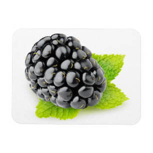 Magnet Flexible Blackberry et menthe