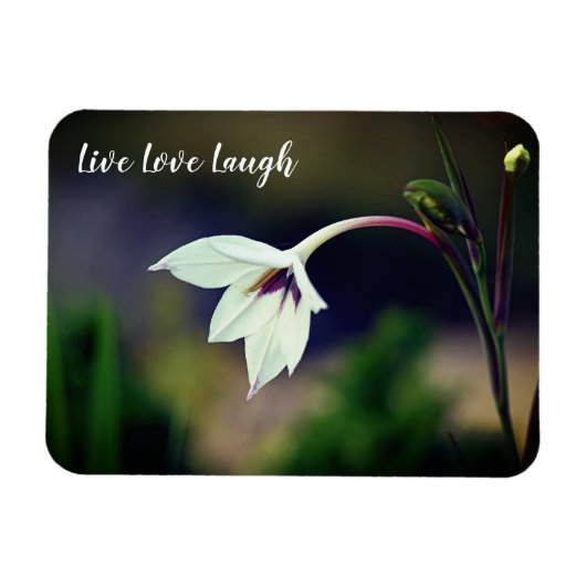 Magnet Flexible Blanc Gladiolus Garden Fleur Motivation (Horizontal)