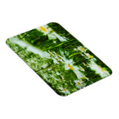 Magnet Flexible Blanc Oxyeye Daisy Abstrait Floral (Côté Droit)