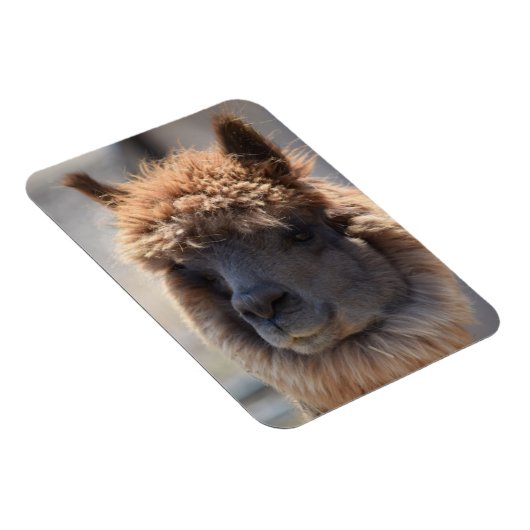 MAGNET FLEXIBLE BLÉ (Côté Droit)