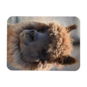 MAGNET FLEXIBLE BLÉ (Horizontal)