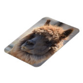 MAGNET FLEXIBLE BLÉ (Côté Gauche)