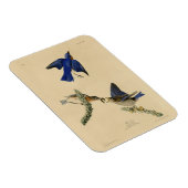 Magnet Flexible Bleu rouge de l'est des oiseaux d'Amérique d'Audub (Côté Droit)