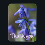 Magnet Flexible Bleu Scilla siberica (Squill en Bois) Fleurs<br><div class="desc">The beautiful blue flowers of Scilla siberica (Wood Squill),  blooming in spring in a natural woodland setting.Great thank you gift for anyone who loves flowers or the natural world.</div>