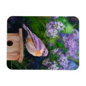 Magnet Flexible Bleuet de l'Est en neige - Photo originale (Horizontal)