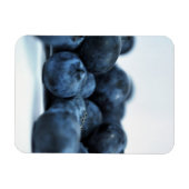 Magnet Flexible Bleuets frais mûrs (Horizontal)