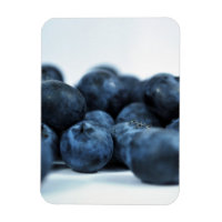 Bleuets frais mûrs