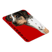 Magnet Flexible Bloc de couleur Catahoula (Côté Droit)