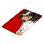 Magnet Flexible Bloc de couleur Catahoula (Côté Gauche)