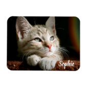 Magnet Flexible Bloc photo pour animaux (Horizontal)