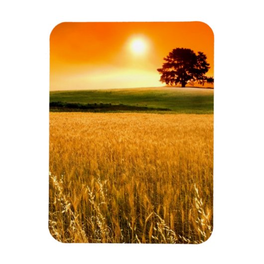 Magnet Flexible Blood-Red Sunset (Vertical)