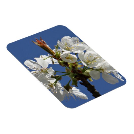 Magnet Flexible Bloom du printemps blanc (Côté Droit)