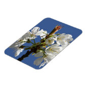 Magnet Flexible Bloom du printemps blanc (Côté Gauche)