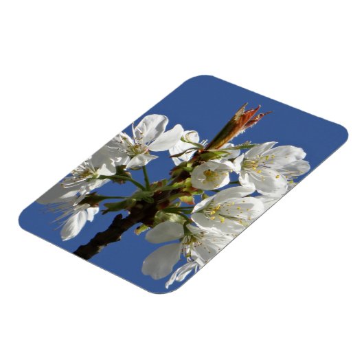 Magnet Flexible Bloom du printemps blanc (Côté Gauche)