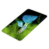 Magnet Flexible Blue Grass Guppy (Côté Gauche)