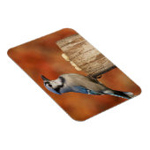 Magnet Flexible Blue Jay (Côté Droit)
