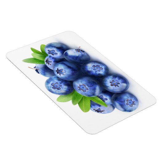 Magnet Flexible Blueberges (Côté Droit)