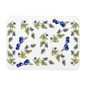Magnet Flexible Blueberries et Feuilles sur aimant Stem Vine (Horizontal)
