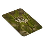 Magnet Flexible Blueberry 585 (Côté Droit)