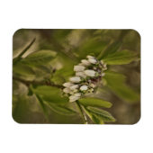Magnet Flexible Blueberry 585 (Horizontal)
